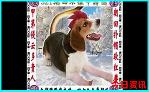 湖南旅游排名前十名